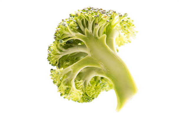 healthy ripe broccoli branch - Photo, Image