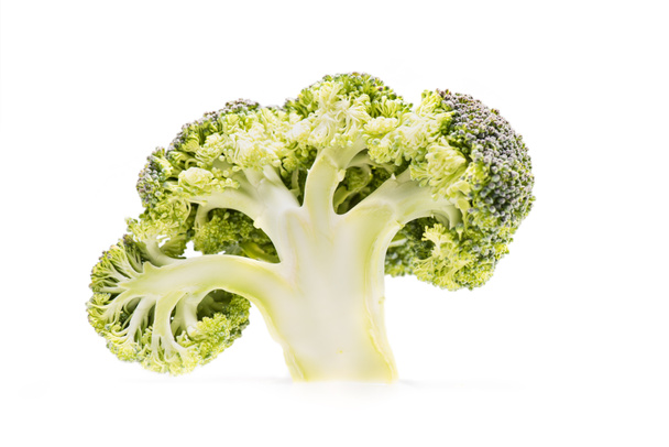 healthy ripe broccoli branch - Foto, Imagem