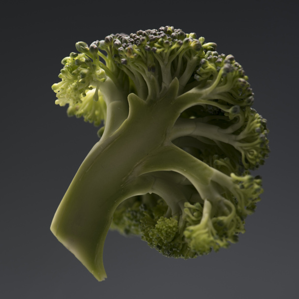 zdrowych, dojrzałych brokułów oddział - Zdjęcie, obraz