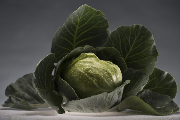 healthy cabbage covered in water drops - Photo, Image