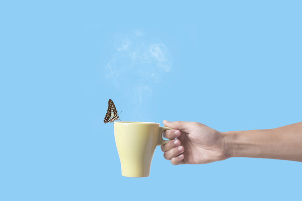 hand holding green coffee cup with butterfly on blue background. - Photo, Image