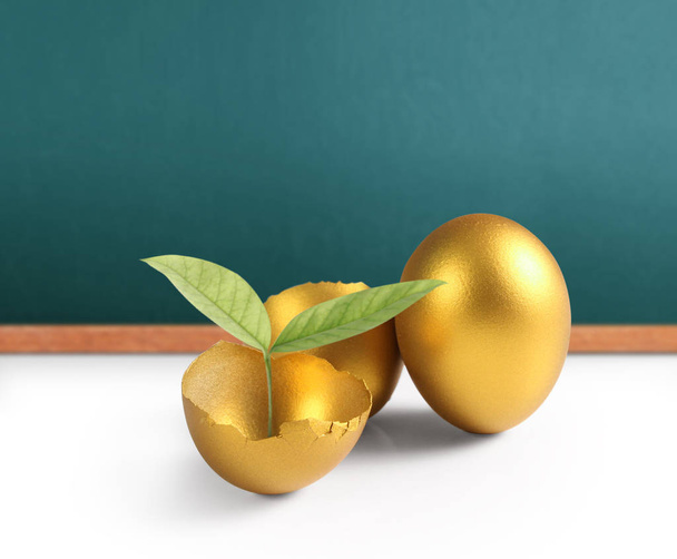 İzole edilmiş bir Paskalya yumurtası - Fotoğraf, Görsel