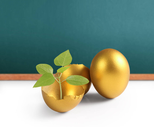 d'oro un uovo di Pasqua isolato - Foto, immagini