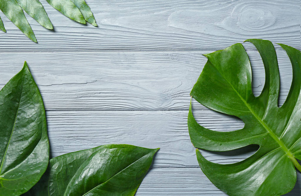 Composition of tropical leaves on wooden background - Photo, Image