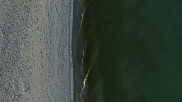 Dzharylhach 島の砂浜海岸、晴れた日に緑の波の空中ショット - 映像、動画