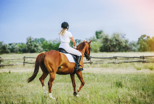 Menina jockey montando um cavalo
 - Foto, Imagem