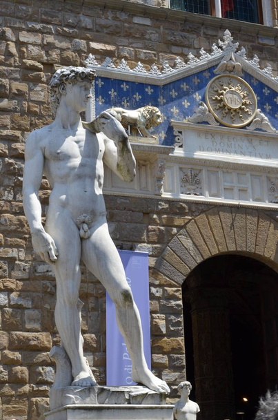 Estatua de David de Miguel Ángel en Florencia
 - Foto, Imagen