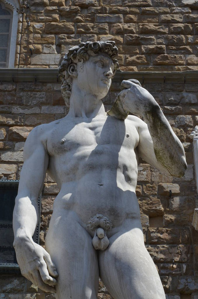 Statue von David von Michelangelo in Florenz - Foto, Bild