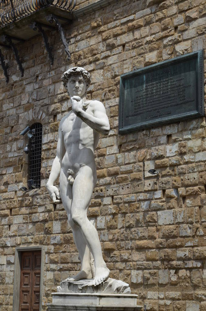 Статуя Давида Микеланджело во Флоренции
 - Фото, изображение