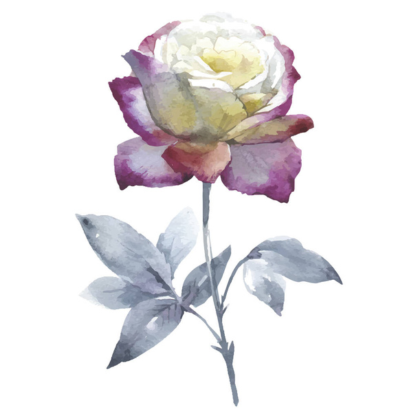 Fleur rose sauvage dans un style vectoriel isolé
. - Vecteur, image