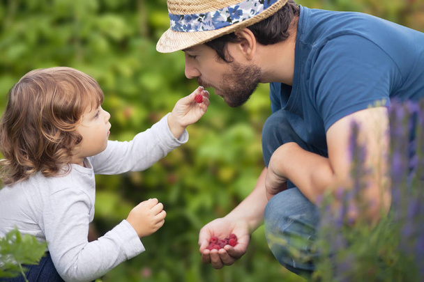 Adorable little baby girl and her father eating raspberries - Photo, Image