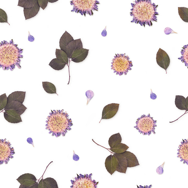 Pressed and dried flowers pattern - Фото, зображення