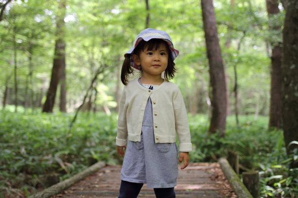 Japanese girl on a hike (2 years old) - Foto, Bild