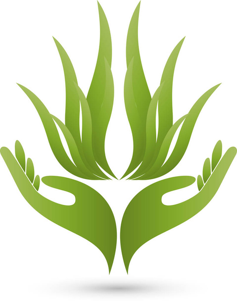 Δύο χέρια και φύλλα, ευεξίας και naturopathic λογότυπο - Διάνυσμα, εικόνα
