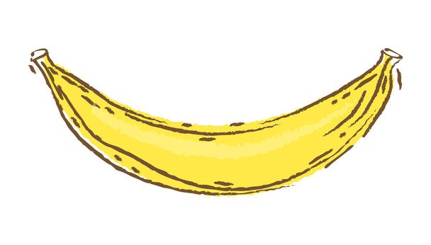 Banana vector illustration, sketch and doodle style, hand draw bananas - Vector, afbeelding