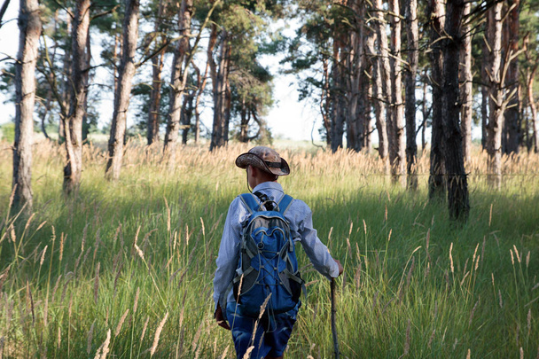 adolescent in hat with backpack and stick walks in the pine forest. Summer time. - Fotó, kép