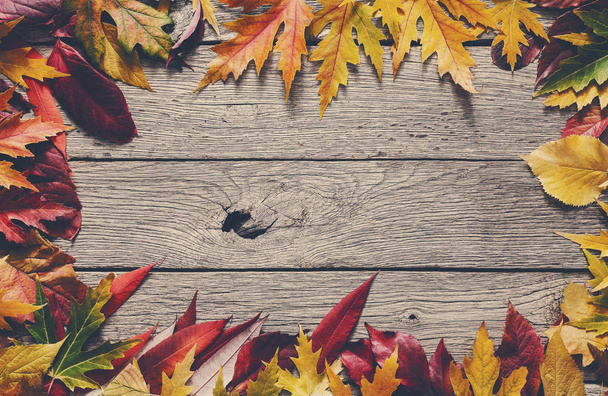Фон осеннего сезона, красные листья рябины
 - Фото, изображение