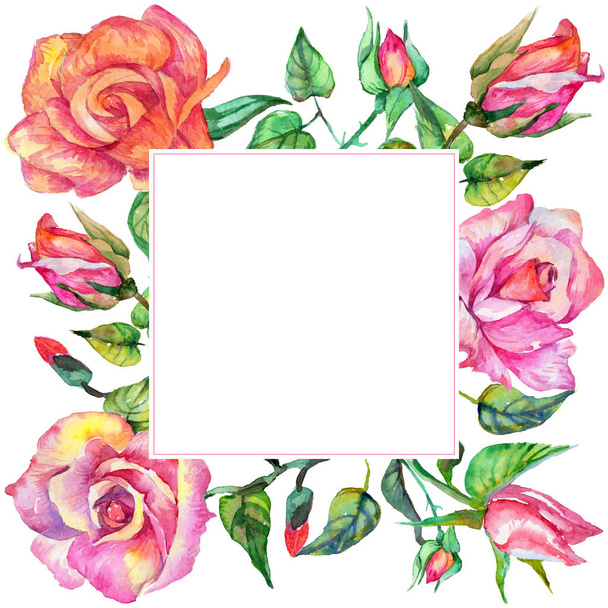 Wildflower rose flower frame in a watercolor style. - Photo, Image