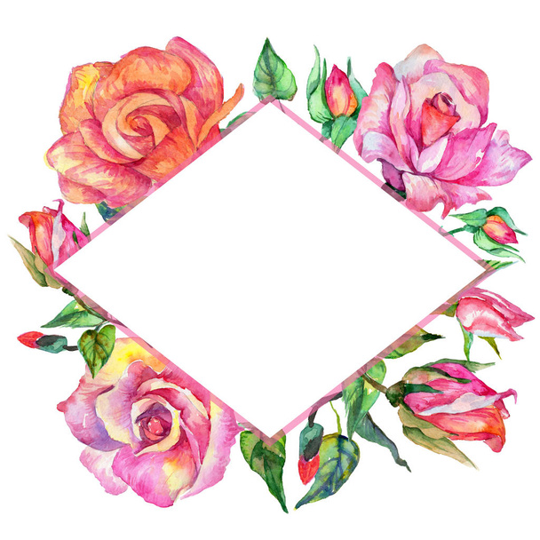 Wildflower roze bloem frame in een aquarel stijl. - Foto, afbeelding