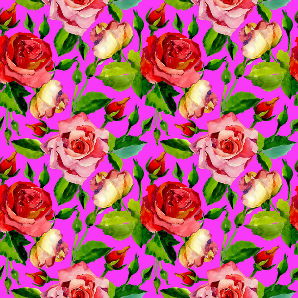 Wildflower rose flower pattern in a watercolor style. - Photo, Image