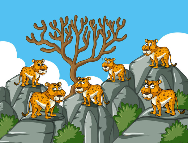 Geparden stehen auf felsigem Berg - Vektor, Bild
