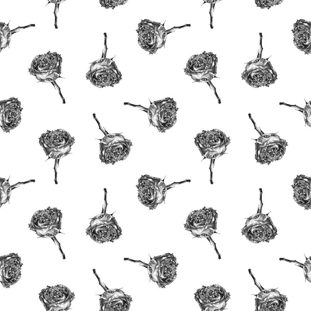  Seamless pattern with rose flower isolated on white background drawn by hand - Foto, afbeelding