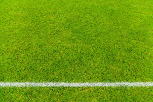 Top view of White stripe on soccer field - Photo, Image