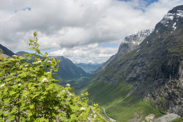 Krajina z Trollstigen hlediska - Fotografie, Obrázek
