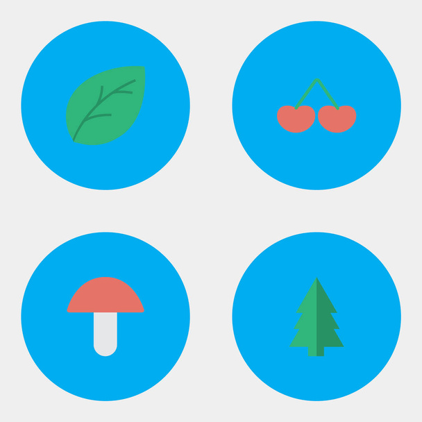 Wektor ilustracja zestaw ikon proste ogrodnictwa. Elementy drzewa, jagody, grzyby i inne synonimy grzyb, ulotki i drewna. - Wektor, obraz