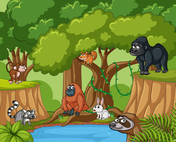 Many wild animals in forest - Vector, Image