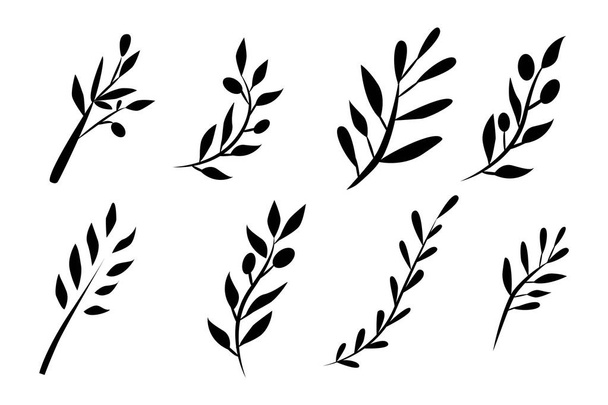 Set brunch all'oliva. illustrazione digitale
 - Vettoriali, immagini