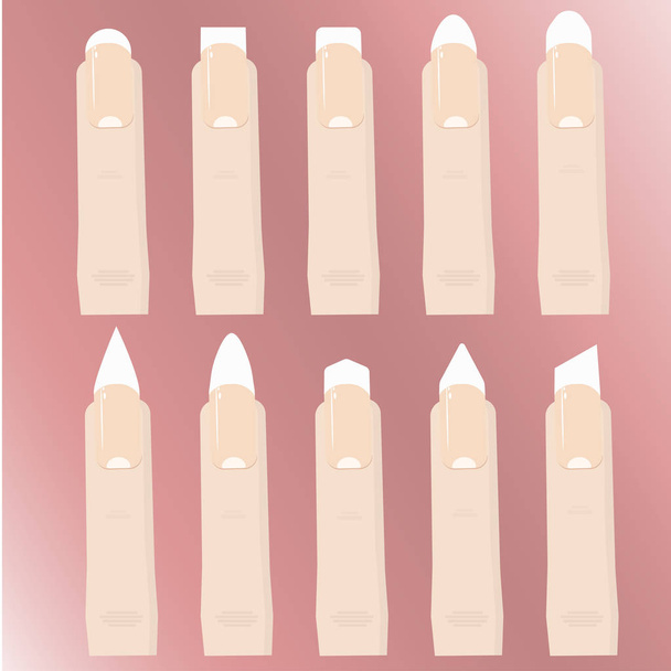 A set of types of nail forms. Procedure of nail extensions. Manicure - Vector, Image