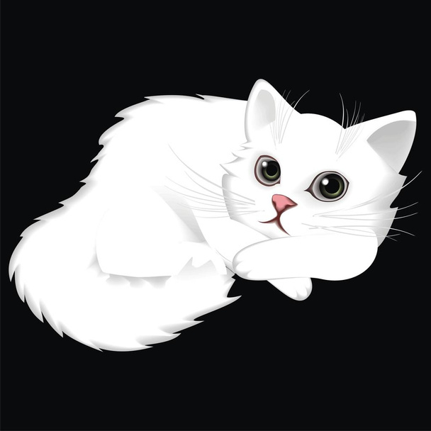 Векторный рисунок кота
 - Вектор,изображение