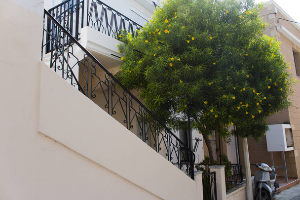 Žlutá květina strom a staré řecké dům v Řecku ostrov Kos - Fotografie, Obrázek
