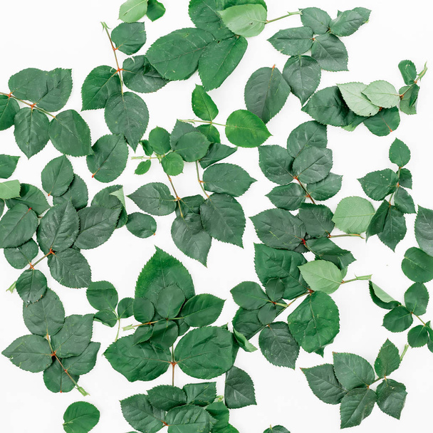 Creative pattern made of green leaves  - Valokuva, kuva