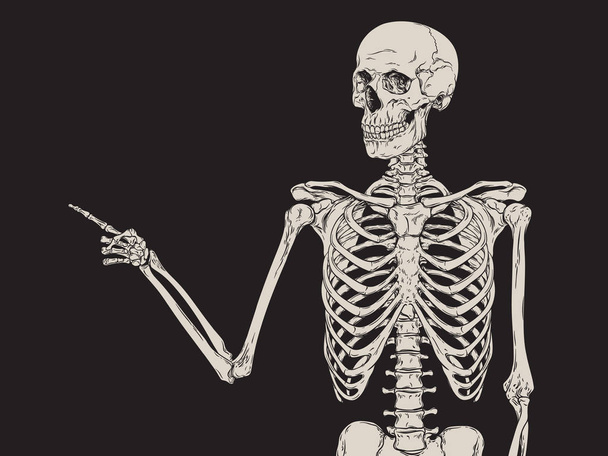 Human skeleton finger pointing isolated over black background vector - Vector, Image