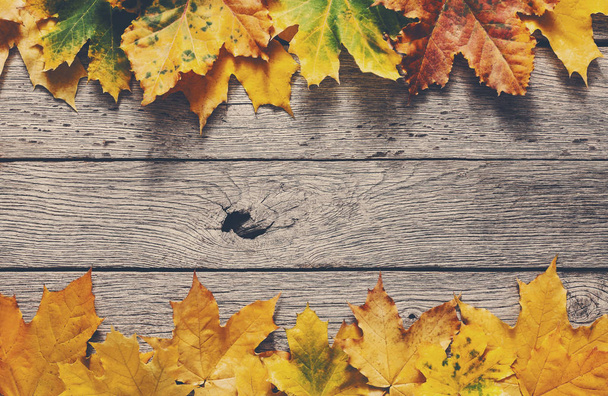 Autumn season background, yellow maple leaves - Photo, Image