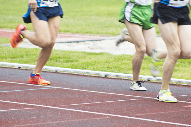 desporto atletismo pista, corredores
 - Foto, Imagem
