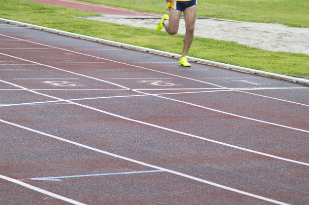 sport athletics track, runners - Photo, Image