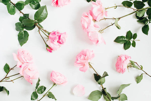 ピンクのバラの花柄 - 写真・画像