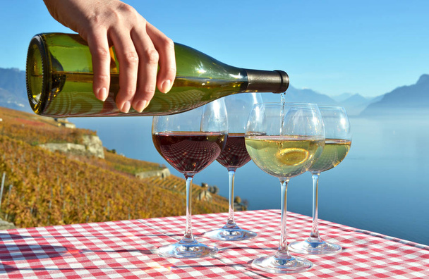 Wein in Lavaux einschenken - Foto, Bild