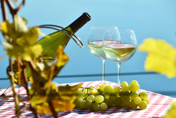 Beyaz şarap ve üzüm. - Fotoğraf, Görsel