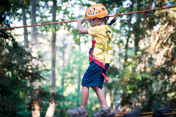 6 year old kid climbing trees in Dolomites, Italy - Zdjęcie, obraz