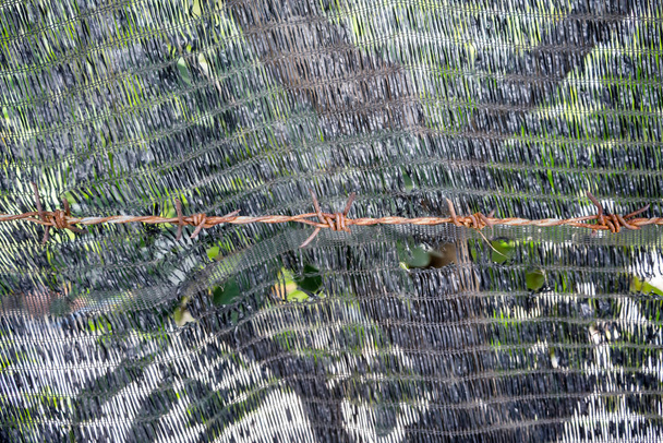 Pic de fil barbelé rouillé fermé contre un vieil alose en plastique noir
 - Photo, image