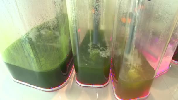 Processo de geração de biocombustíveis. Líquido colorido em reservatório transparente
. - Filmagem, Vídeo