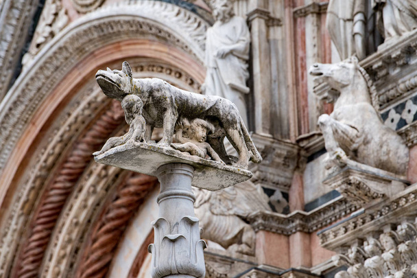 Romolus とレムスの像オオカミのシエナ ドーム大聖堂外部ビュー詳細 - 写真・画像