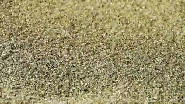 sand,wind blow sand particles on beach. - Footage, Video
