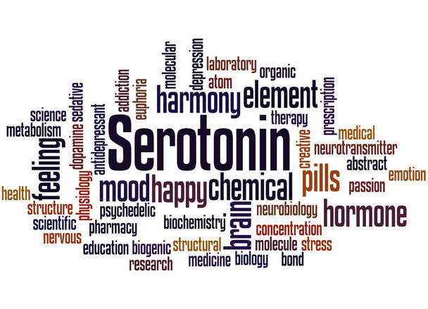 Serotonin, word cloud concept 5 - Photo, Image