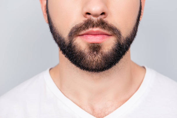 Close up cropped photo of a styling of a brunet`s guy beard, iso - Zdjęcie, obraz