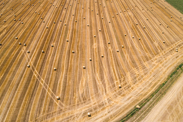 Golden Hay Bales During Harvest Season - Valokuva, kuva